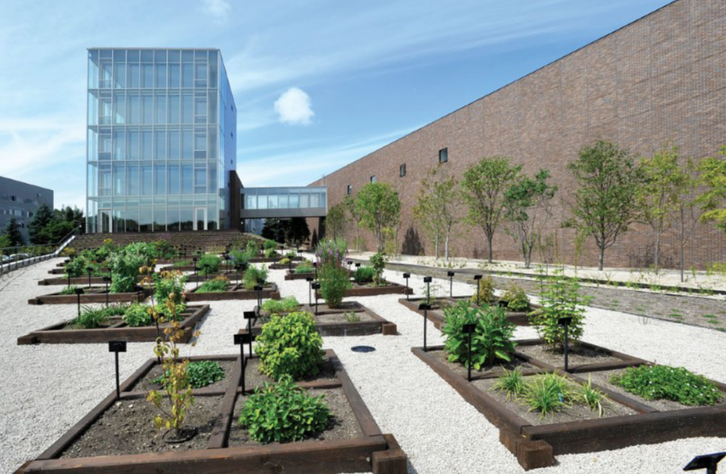 офис компания AminoUP расположенный в Саппоро