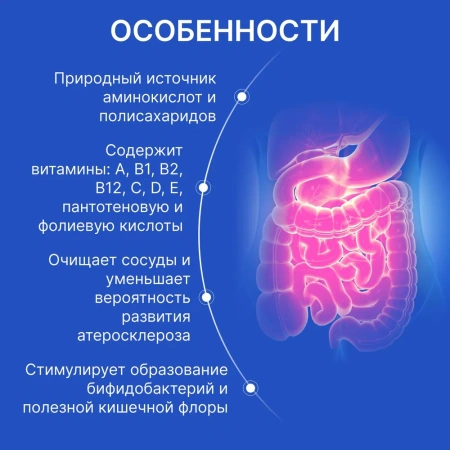Пищевая добавка BIODOC CHITOSAN DETOX 60 капсул по 0,45г