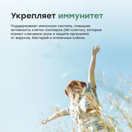 Японский природный иммуномодулятор ЭЙЭЙЧСИСИ / AHCC