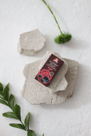 Ферментированный растительный комплекс 5-летней ферментации ОМ-Х® от Dr.OHHIRA® DELUXE 30 капсул