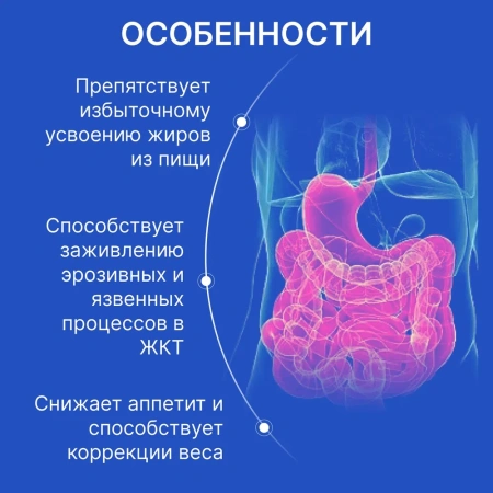 Пищевая добавка BIODOC CHITOSAN 60 капсул по 0,2 г